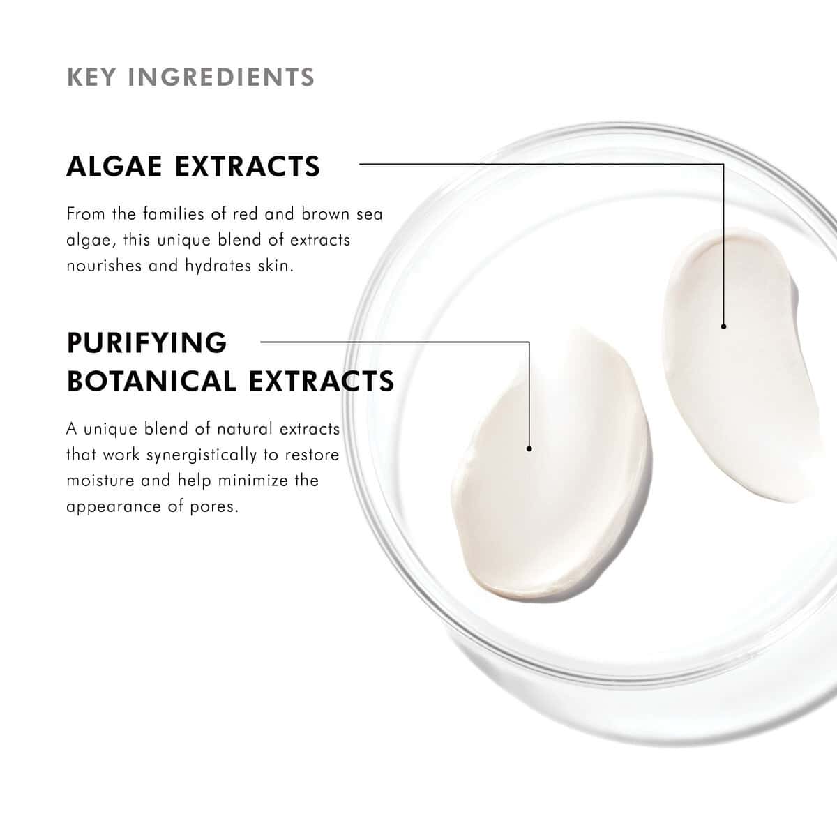 Algae extracts in skincare for hydration, nourishment, and skin health.